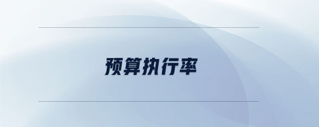 預算執(zhí)行率 預算執(zhí)行率