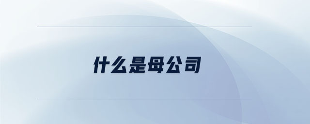 什么是母公司 什么是母公司