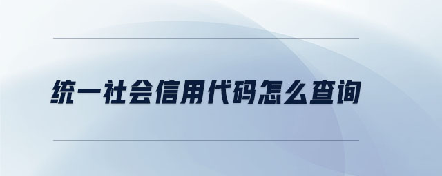 統(tǒng)一社會(huì)信用代碼怎么查詢 統(tǒng)一社會(huì)信用代碼怎么查詢