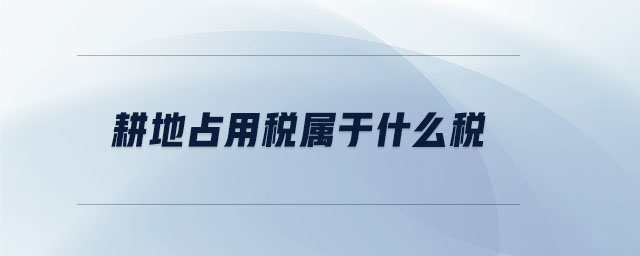 耕地占用稅屬于什么稅