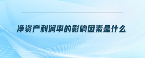 凈資產(chǎn)利潤(rùn)率的影響因素是什么