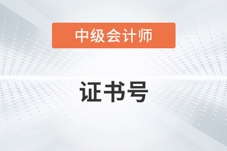 中級會計證書編碼是管理號嗎？