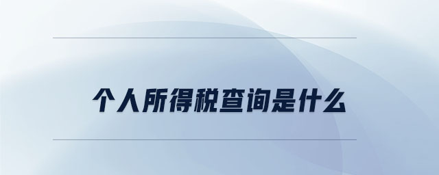 個(gè)人所得稅查詢是什么 個(gè)人所得稅查詢是什么