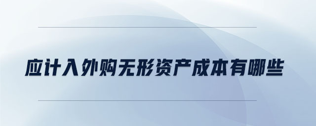 應(yīng)計入外購無形資產(chǎn)成本有哪些