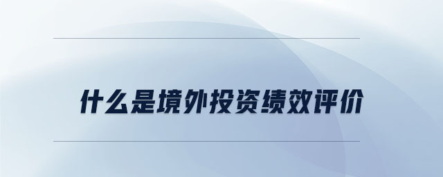 什么是境外投資績效評價