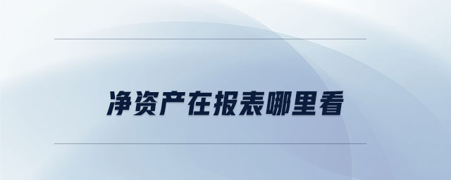 凈資產(chǎn)在報(bào)表哪里看 凈資產(chǎn)在報(bào)表哪里看
