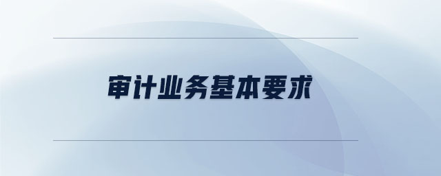 審計(jì)業(yè)務(wù)基本要求 審計(jì)業(yè)務(wù)基本要求