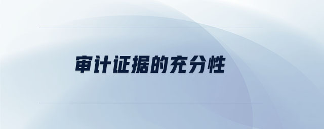 審計證據(jù)的充分性 審計證據(jù)的充分性