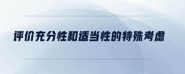 評(píng)價(jià)充分性和適當(dāng)性的特殊考慮 評(píng)價(jià)充分性和適當(dāng)性的特殊考慮