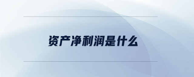 資產(chǎn)凈利潤(rùn)是什么 資產(chǎn)凈利潤(rùn)是什么