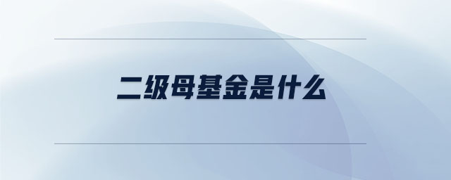 二級(jí)母基金是什么