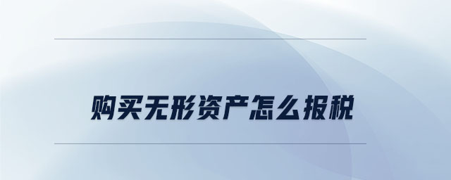 購買無形資產(chǎn)怎么報(bào)稅 購買無形資產(chǎn)怎么報(bào)稅
