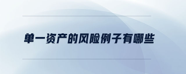 單一資產(chǎn)的風險例子有哪些 單一資產(chǎn)的風險例子有哪些