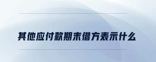其他應(yīng)付款期末借方表示什么 其他應(yīng)付款期末借方表示什么