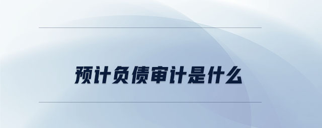 預計負債審計是什么