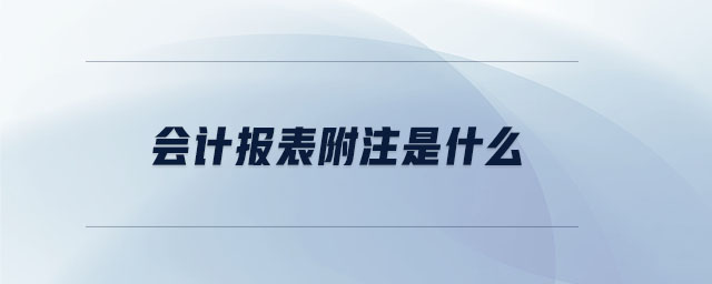 會計報表附注是什么 會計報表附注是什么