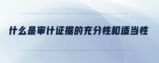 什么是審計(jì)證據(jù)的充分性和適當(dāng)性 什么是審計(jì)證據(jù)的充分性和適當(dāng)性