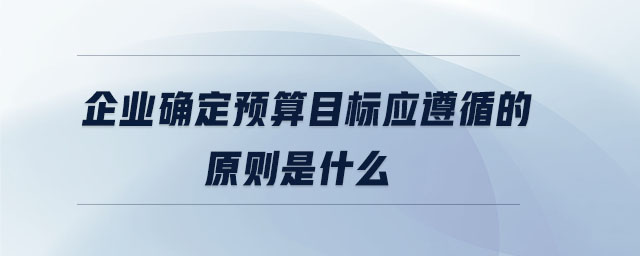 企業(yè)確定預算目標應遵循的原則是什么