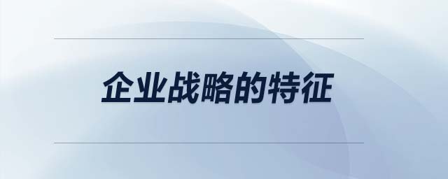 企業(yè)戰(zhàn)略的特征