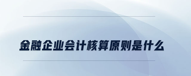 金融企業(yè)會計(jì)核算原則是什么 金融企業(yè)會計(jì)核算原則是什么