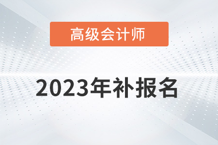 高級(jí)會(huì)計(jì)師補(bǔ)報(bào)名2023年是什么時(shí)候？