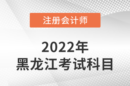 2022年黑龍江省七臺(tái)河注冊(cè)會(huì)計(jì)師延考考試科目
