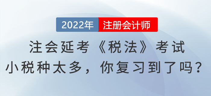2022年注會延考《稅法》考試，“小稅種”太多，你都復(fù)習到了嗎？