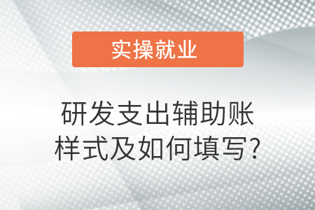 研發(fā)支出輔助賬樣式及如何填寫(xiě)? 研發(fā)支出輔助賬樣式及如何填寫(xiě)?
