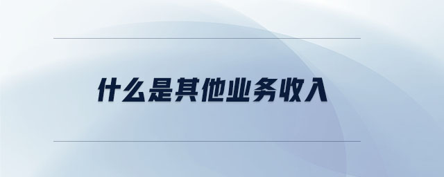 什么是其他業(yè)務收入 什么是其他業(yè)務收入