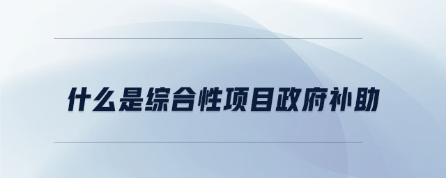什么是綜合性項目政府補助 什么是綜合性項目政府補助