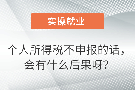 個人所得稅不申報的話，會有什么后果呀？