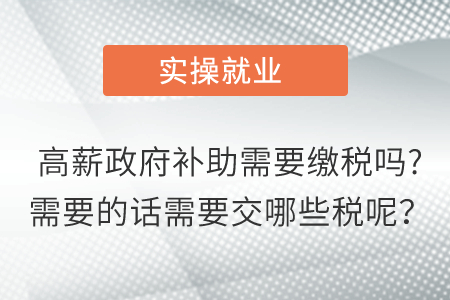 高薪政府補助需要繳稅嗎?需要的話需要交哪些稅呢？
