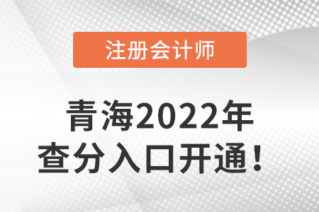青海省海東2022年注冊(cè)會(huì)計(jì)師成績(jī)查詢?nèi)肟陂_(kāi)通啦！