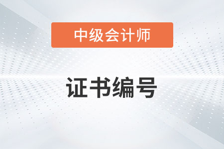 中級會計師證書號是哪一個你了解嗎？
