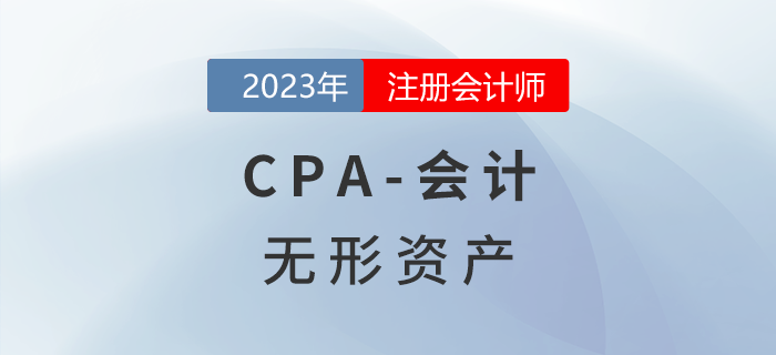 注會會計預(yù)習(xí)章節(jié)速覽:第四章無形資產(chǎn) 注會會計預(yù)習(xí)章節(jié)速覽:第四章無形資產(chǎn)