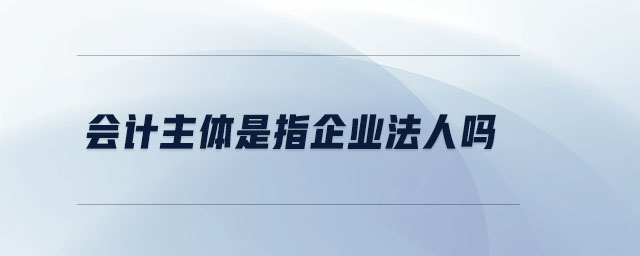 會計主體是指企業(yè)法人嗎 會計主體是指企業(yè)法人嗎