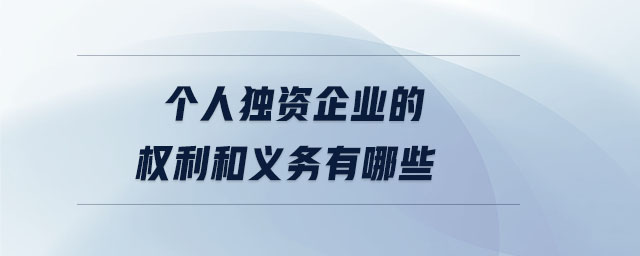 個人獨資企業(yè)的權利和義務有哪些