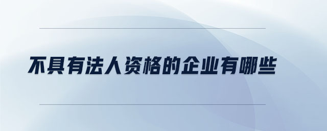 不具有法人資格的企業(yè)有哪些 不具有法人資格的企業(yè)有哪些