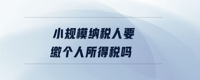 小規(guī)模納稅人要繳個(gè)人所得稅嗎 小規(guī)模納稅人要繳個(gè)人所得稅嗎