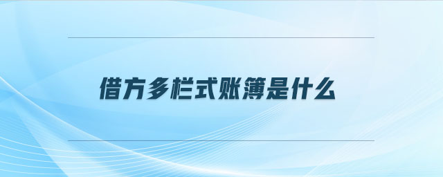 借方多欄式賬簿是什么 借方多欄式賬簿是什么