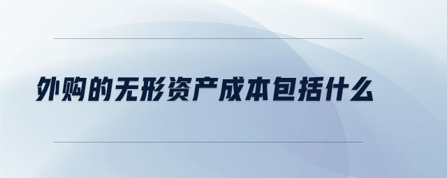 外購(gòu)的無(wú)形資產(chǎn)成本包括什么 外購(gòu)的無(wú)形資產(chǎn)成本包括什么