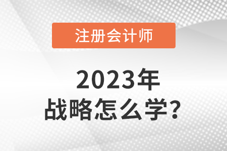 注冊會計師戰(zhàn)略2023年怎么學(xué)？
