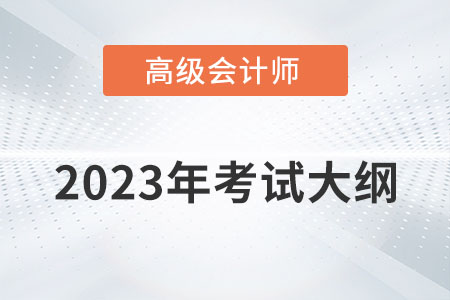 2023年高級(jí)會(huì)計(jì)師《高級(jí)會(huì)計(jì)實(shí)務(wù)》考試大綱