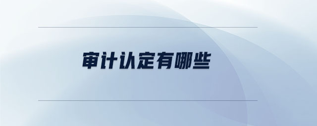 審計認(rèn)定有哪些