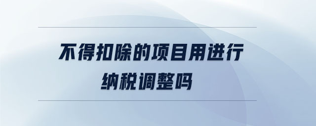 不得扣除的項目用進(jìn)行納稅調(diào)整嗎 不得扣除的項目用進(jìn)行納稅調(diào)整嗎