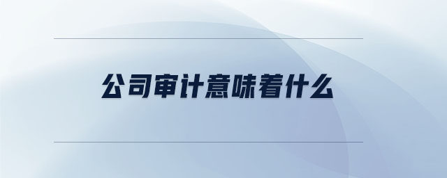 公司審計(jì)意味著什么 公司審計(jì)意味著什么