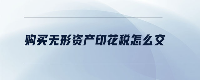 購買無形資產(chǎn)印花稅怎么交 購買無形資產(chǎn)印花稅怎么交