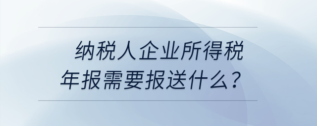 納稅人企業(yè)所得稅年報(bào)需要報(bào)送什么？