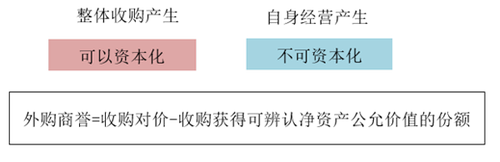 商譽(yù)的處理 商譽(yù)的處理