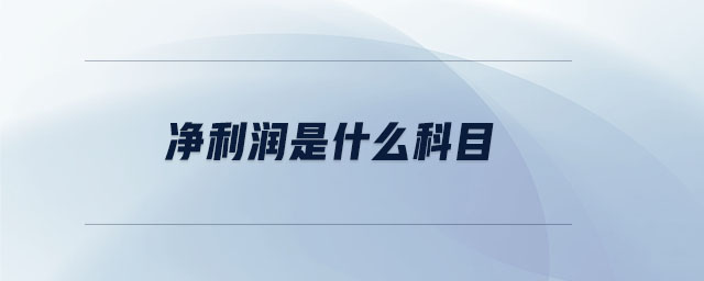 凈利潤(rùn)是什么科目